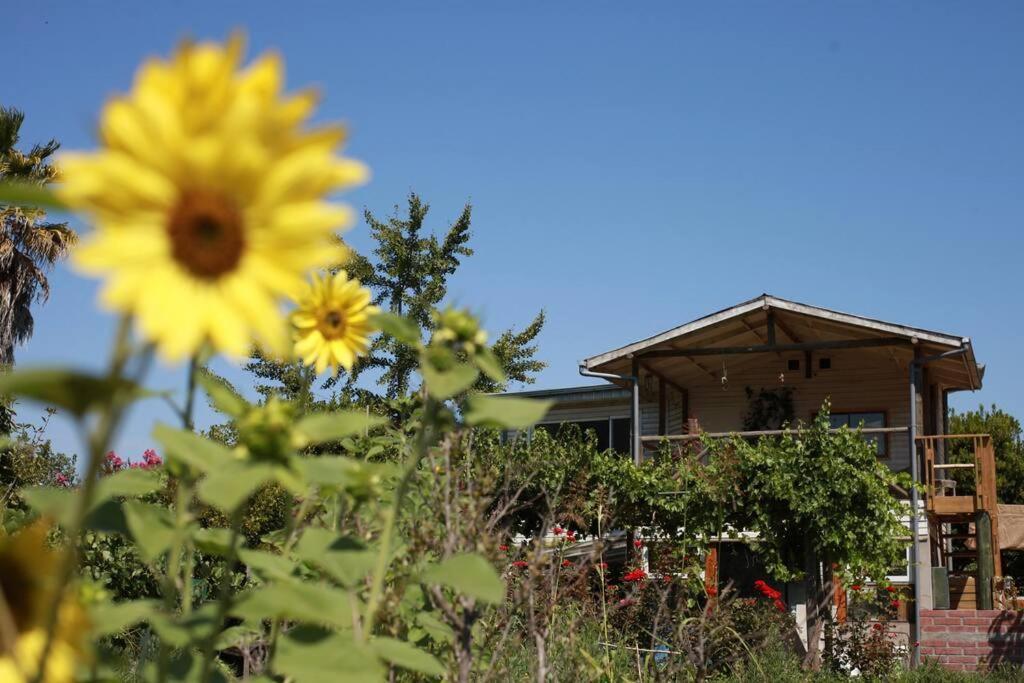Posada Al Rio Isla de Maipo Exterior photo