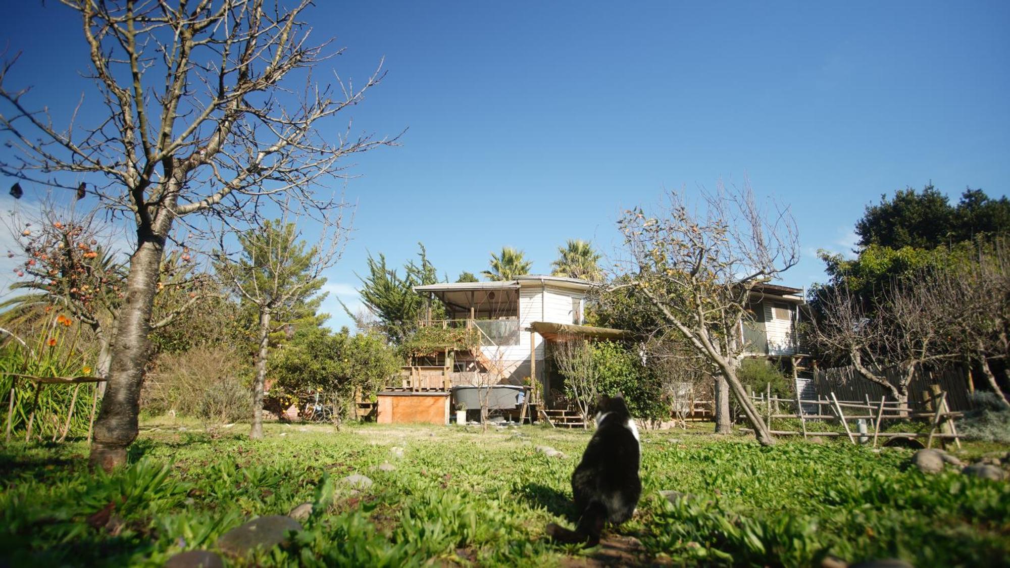 Posada Al Rio Isla de Maipo Exterior photo